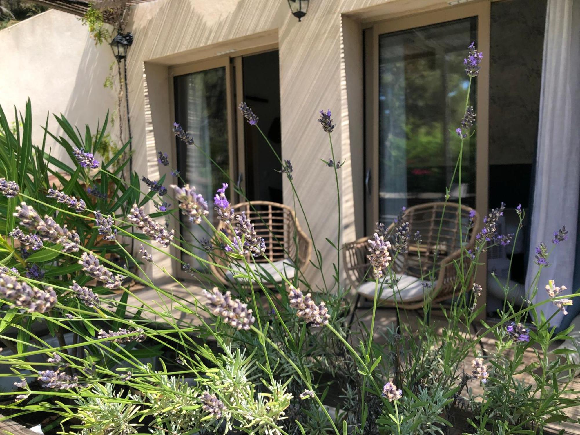 Mas De La Fadeto Bed & Breakfast Les Baux-de-Provence Exterior foto