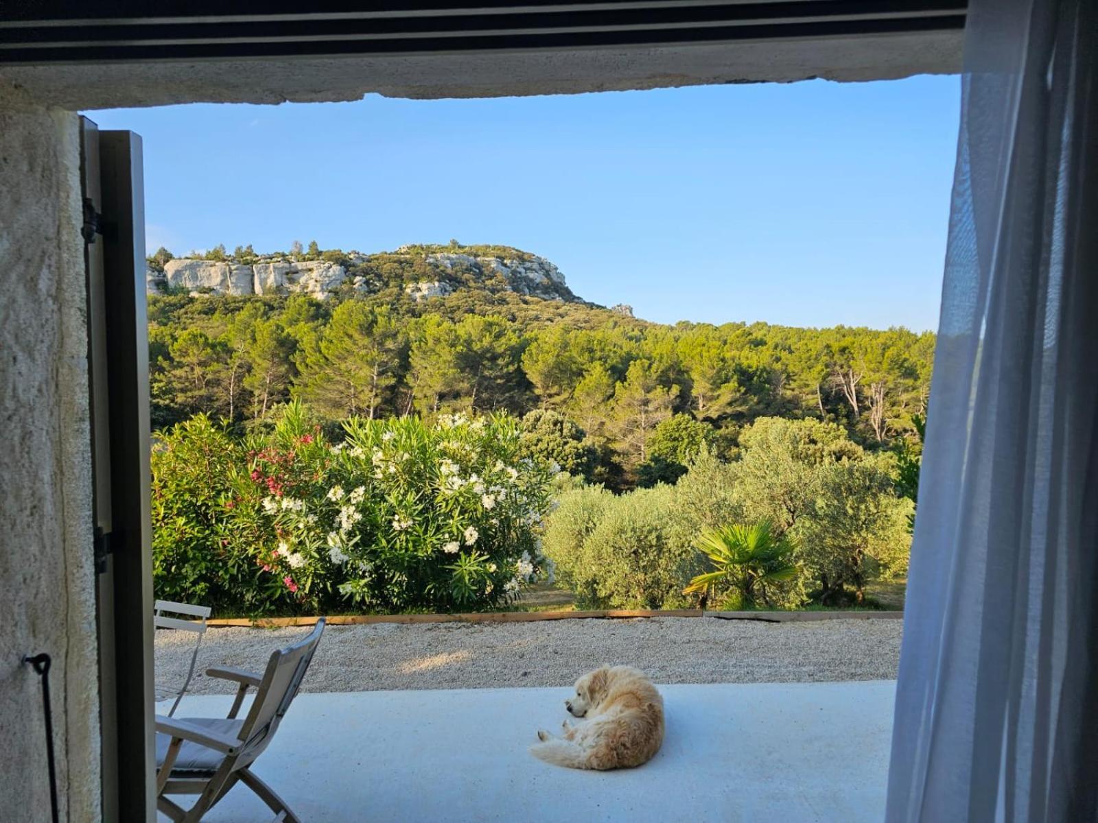 Mas De La Fadeto Bed & Breakfast Les Baux-de-Provence Exterior foto